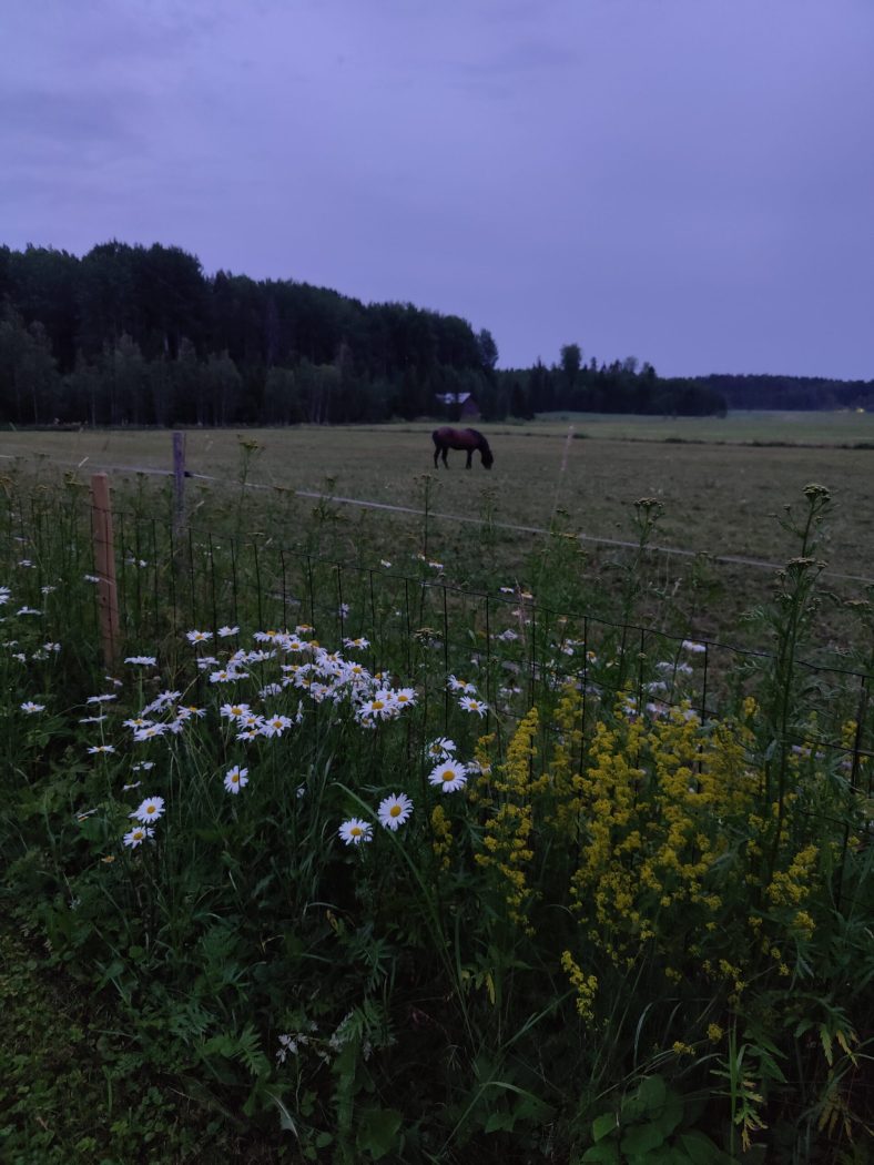 oplus_1048608