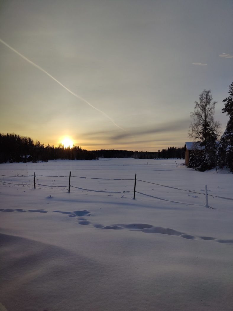 IMG_20241218_101957__01